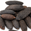 Tonka Bean