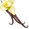 Vanilla