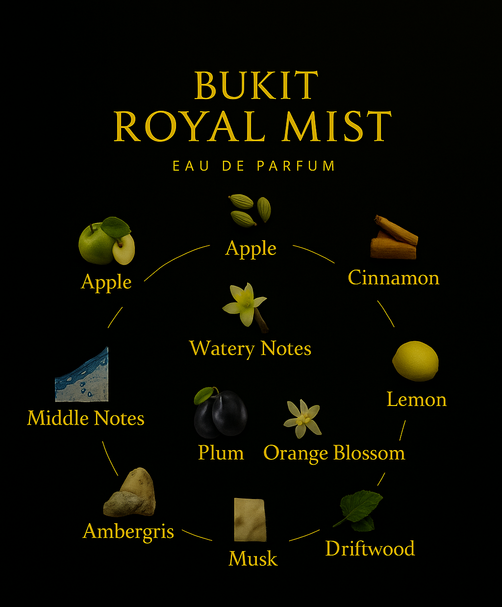 ROYAL MIST - EAU DE PARFUM FOR HIM