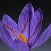Saffron